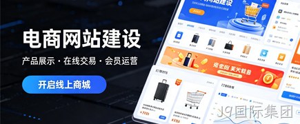 国内商城电商/海外独立站商城